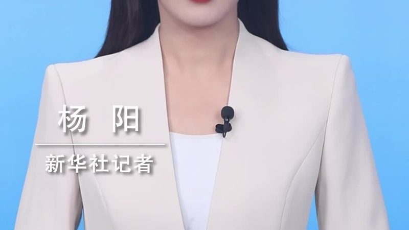 金融行业大数据分析：从入门到实践**